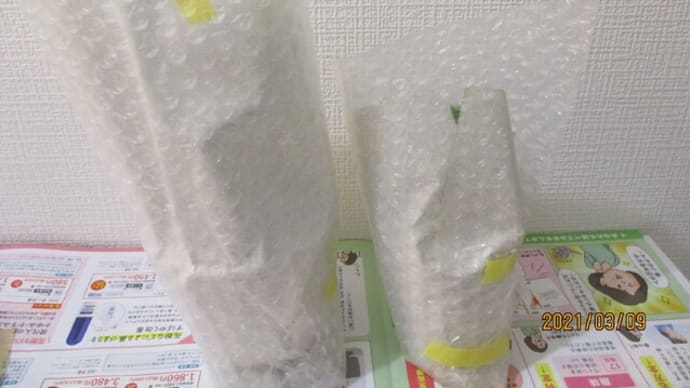 時計草&アリノスシダがやってきた\(^▽^)/