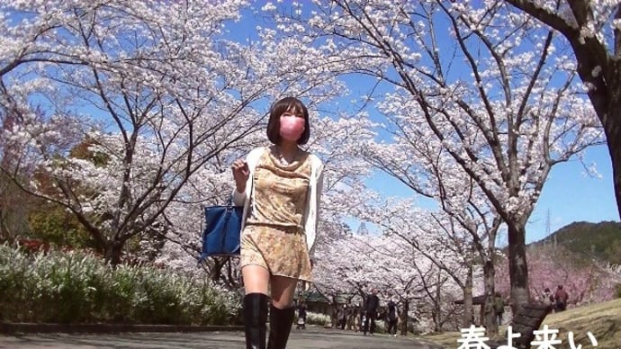 春よ来い 🌺