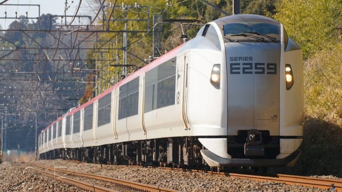 2024年2月14日 総武本線 物井 E259系 成田エクスプレス