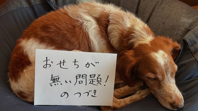 おせちが無い問題　のつづき