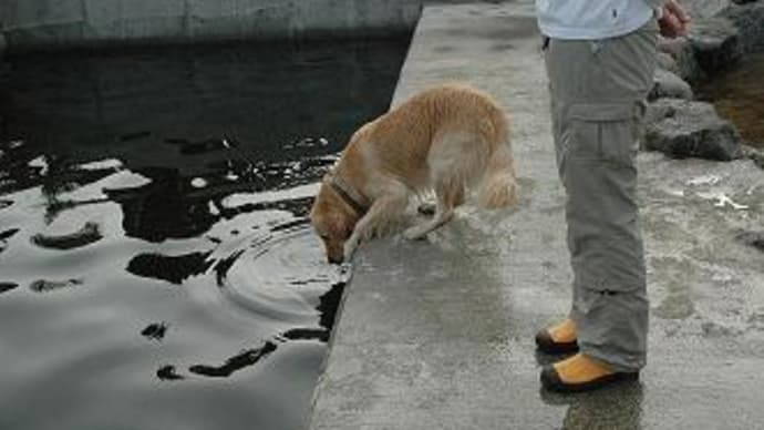 プールで水遊び