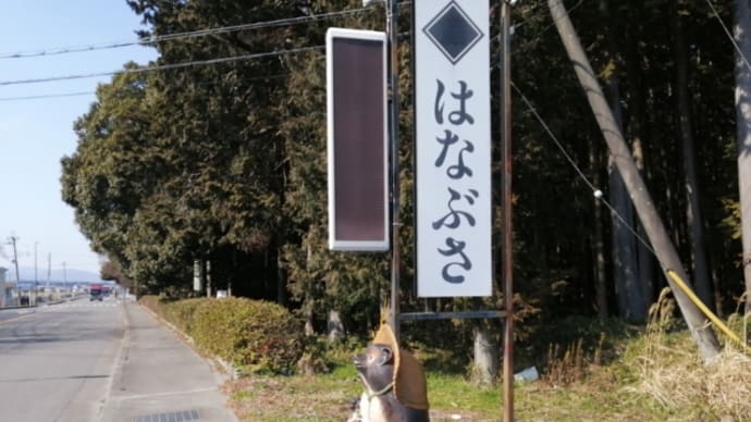 滋賀・土山「はなぶさ」の、超デカネタにぎり寿司。