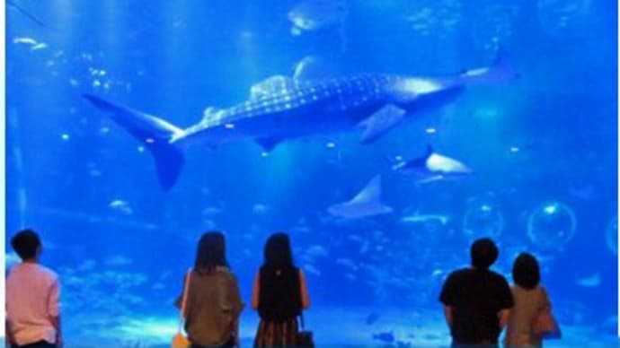 ★能登半島地震 生き物たちの「災害関連死」