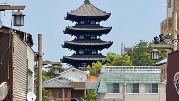 ボランティア日帰り旅行1~ならまち