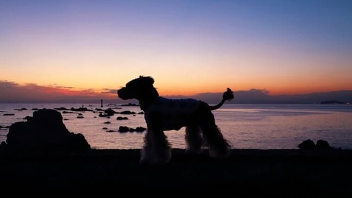 夕陽