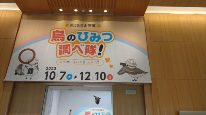 三重県総合博物館『鳥のひみつ調べ隊!』と津市白山総合文化センター『下剋上球児パネル展』