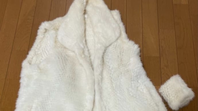 「毛皮のリメイク」一作目
