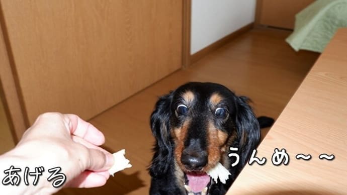 ジブリ飯?ラピュタパンを召し上がれ~♪