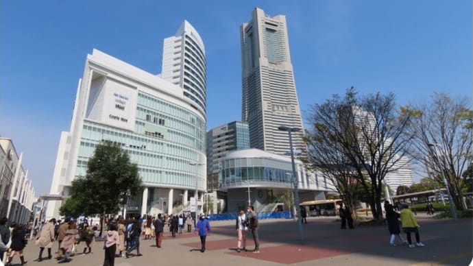 桜木町駅周辺の桜めぐり