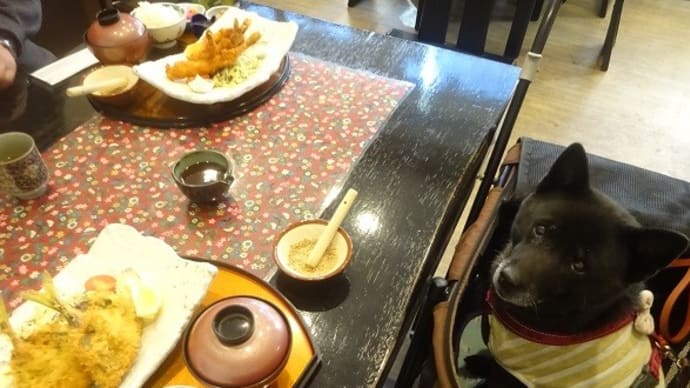 恵比寿茶屋