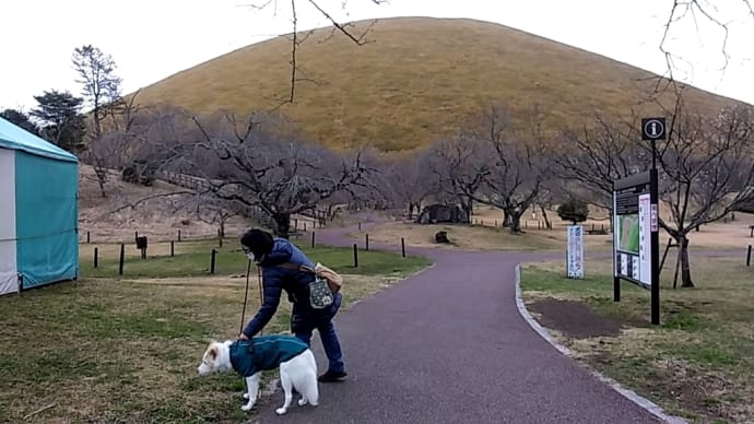 ある日の伊豆旅行記(その14;またね、さくらの里さん、大室山さん。)