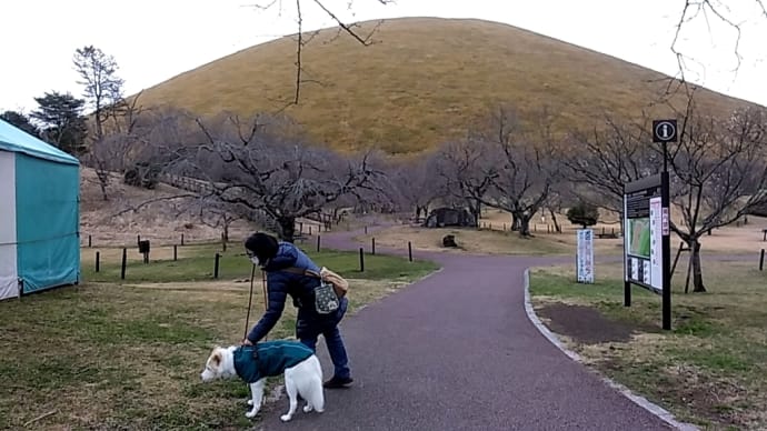 ある日の伊豆旅行記（その14；またね、さくらの里さん、大室山さん。）