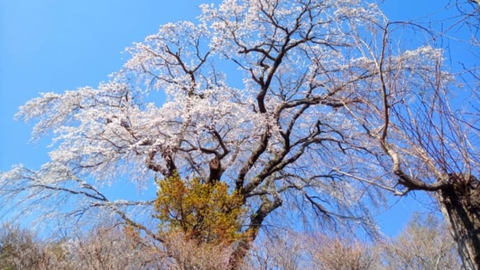 軽井沢散歩