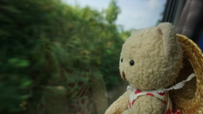 涼を求めてバスツアーで行く福井県にある「若狭の名瀑」の「瓜割の滝」。