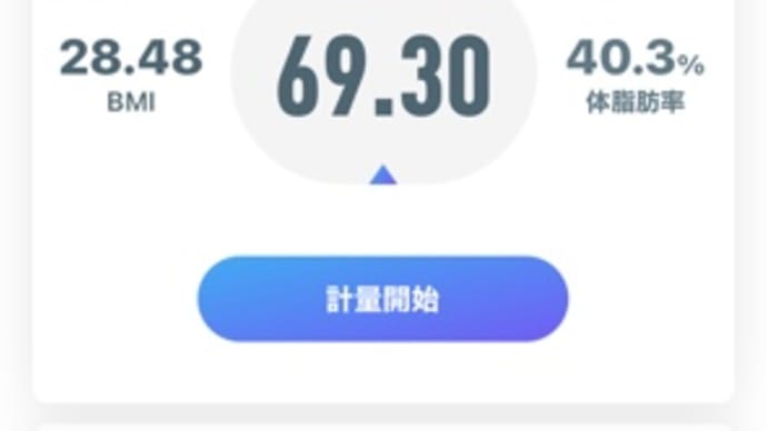 痩せたい理由