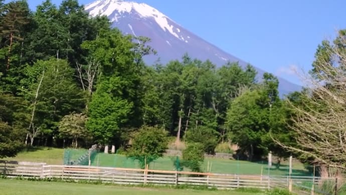 富士山