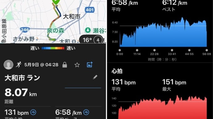 早朝ラン8km
