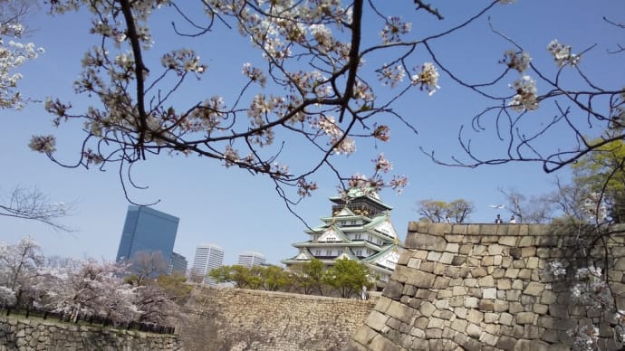 大阪城の桜。