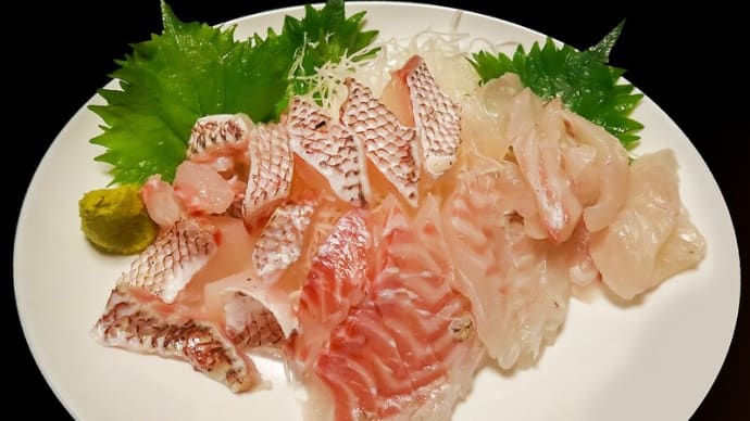 真鯛尽くし　～お土産は、生け簀で釣り放題のマダイが４匹～