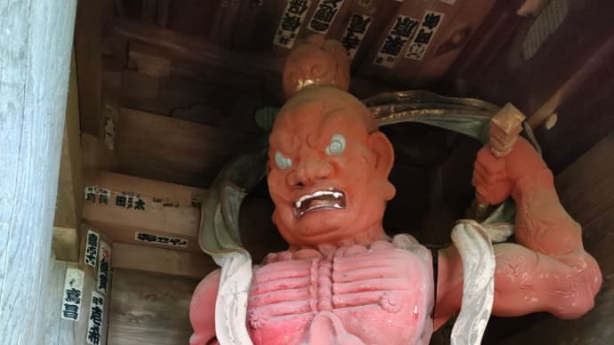 伊勢原日向薬師の彼岸花