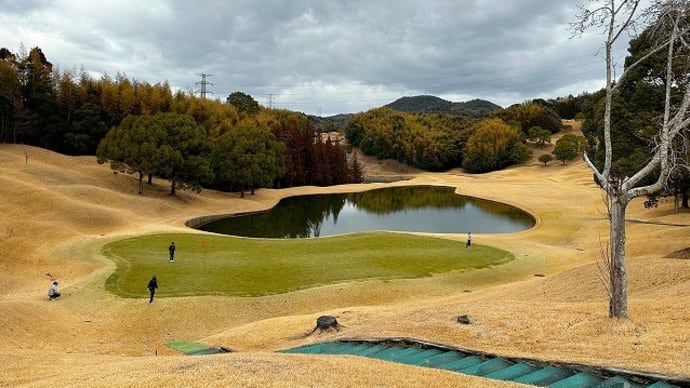3月1日(水) 西京地所は定休日です。