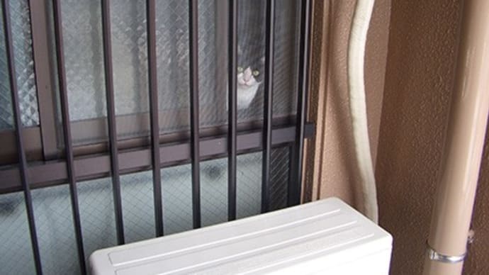 お見送りする風子