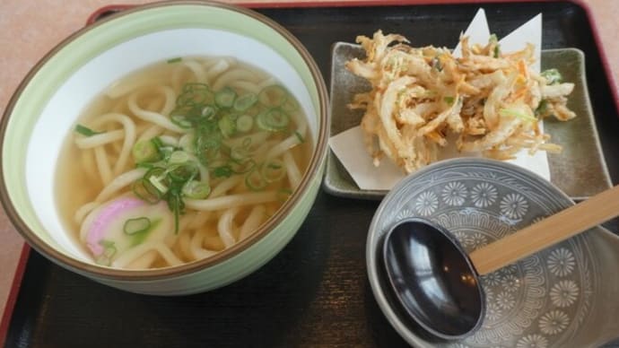 凡蔵でのランチ on 2022-4-8