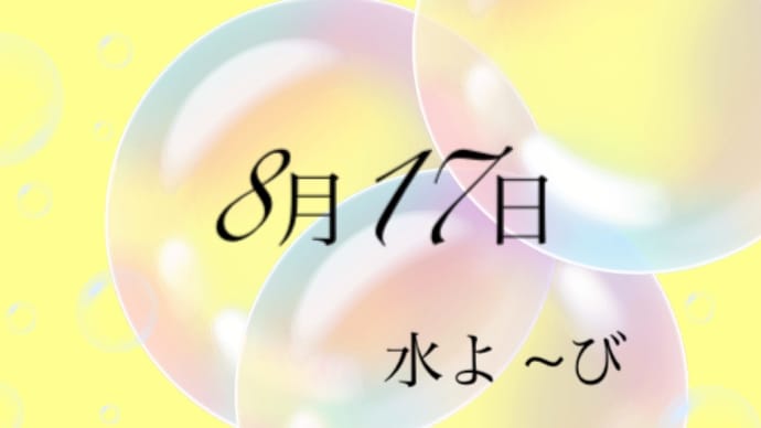 8月17日(水) 旦那さん弁当