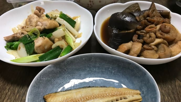 鶏とネギの炒め物