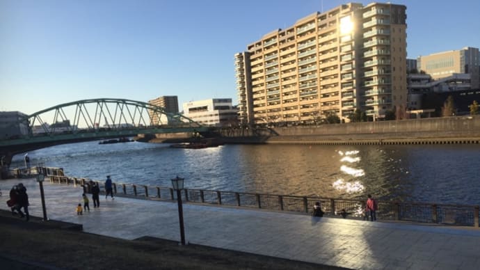 今日の散歩道　久し振りの新河岸川の河岸公園