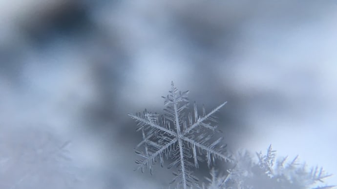 白き雪原に