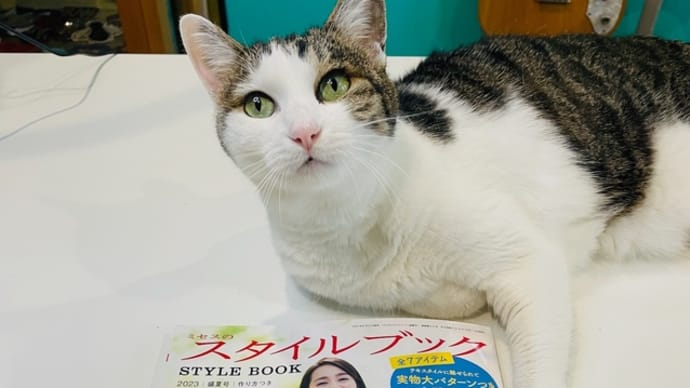 ミセスのスタイルブック盛夏号