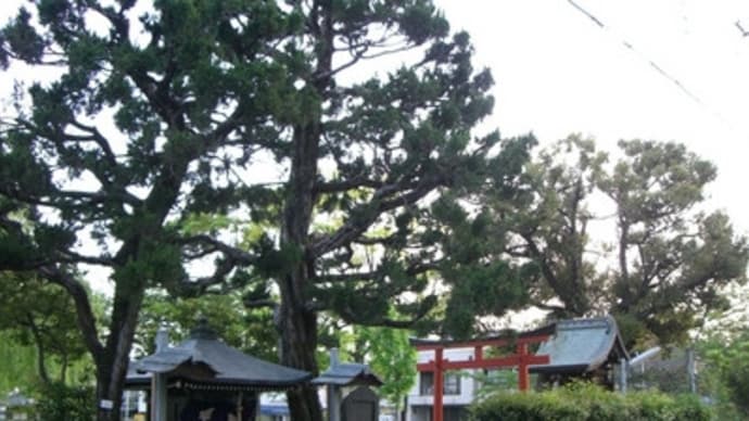 京都妖怪探訪（１６０）：鵺大明神と鵺池