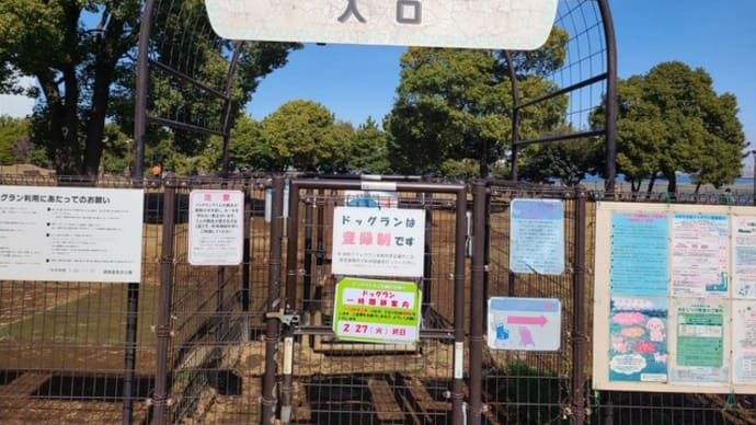 2回目の「城南島海浜公園」で遊ぶ②