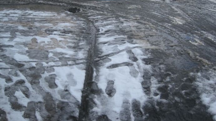 今日も湿った雪で二日連続長靴ウォーキング