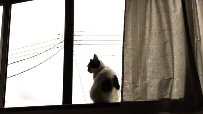 花金ですよ。(^.^)♪
