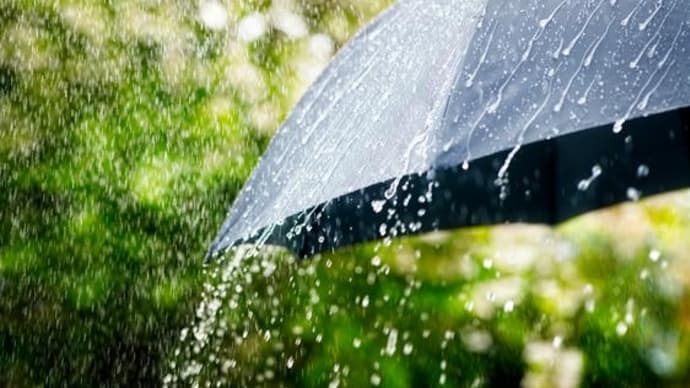 06年3月26日雨が降る。