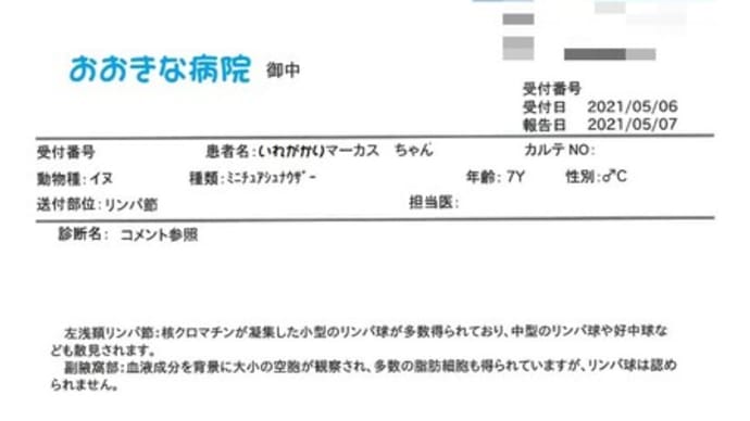 ちょっとしんぱい…