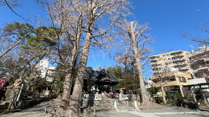 三回目のお詣りから市場巡り