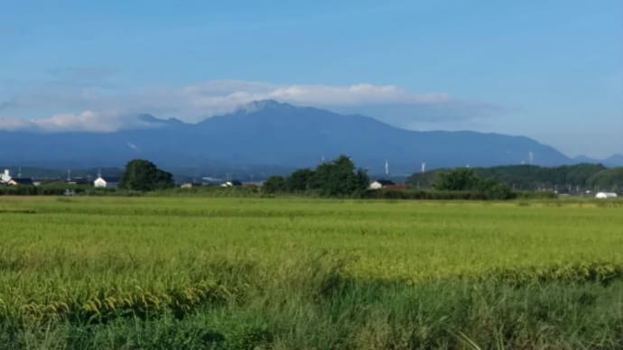 甘い起訴なのかも?