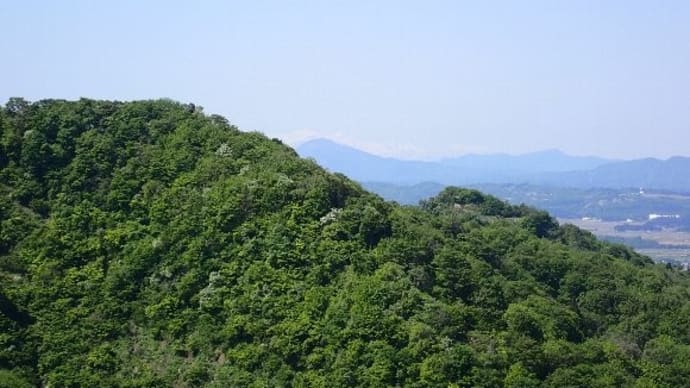 三ノ峠山~萱峠(かやとうげ)ウォーク② 2024/05/05 with TG-6