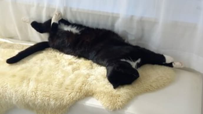 ヒラヒラ 3