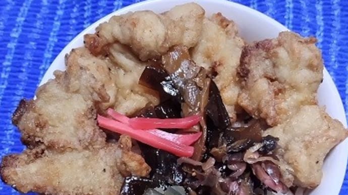 【11/23晩御飯】南部鶏手羽ぷり塩麹竜田、調理意欲が湧かなかったのでね:P