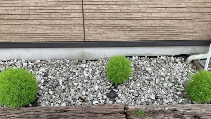 定年生活