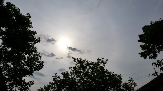 ぼんやりとした天気だったような❗