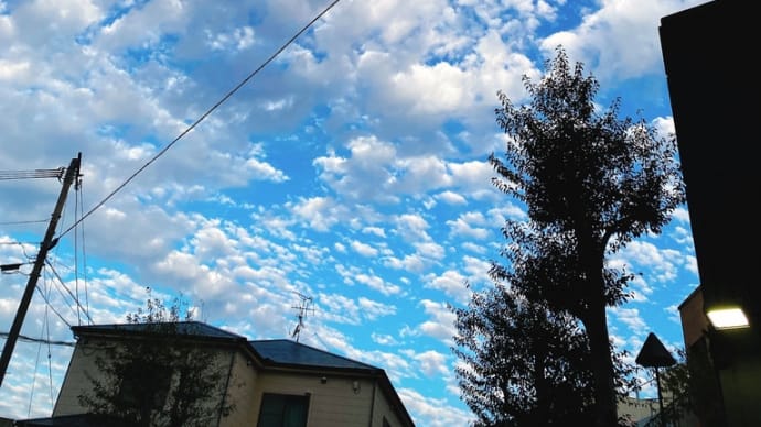 今朝の空、漫画のような雲☆