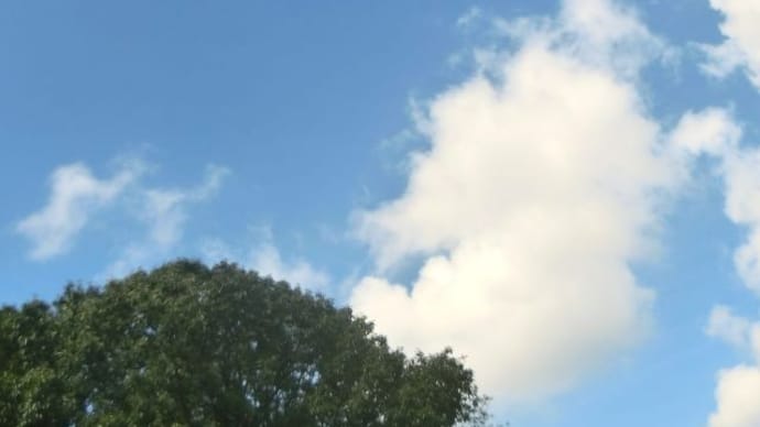 楽だわ