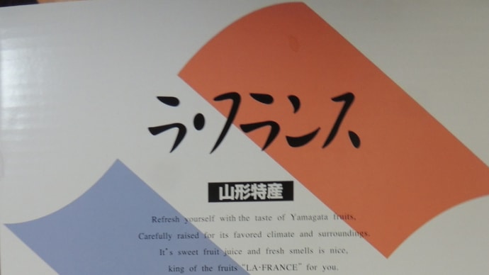 いただきもの。山形産ラ・フランス。
