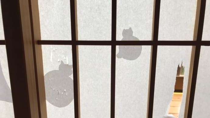 猫と障子