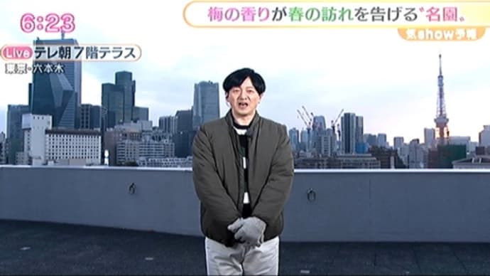 偕楽園の梅